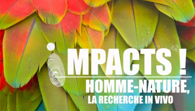 “Impacts ! Homme-Nature, La Recherche In Vivo”, une exposition au plus près du vivant