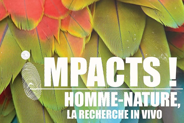 Impacts, une série documentaire dans le cadre du festival VIVO !