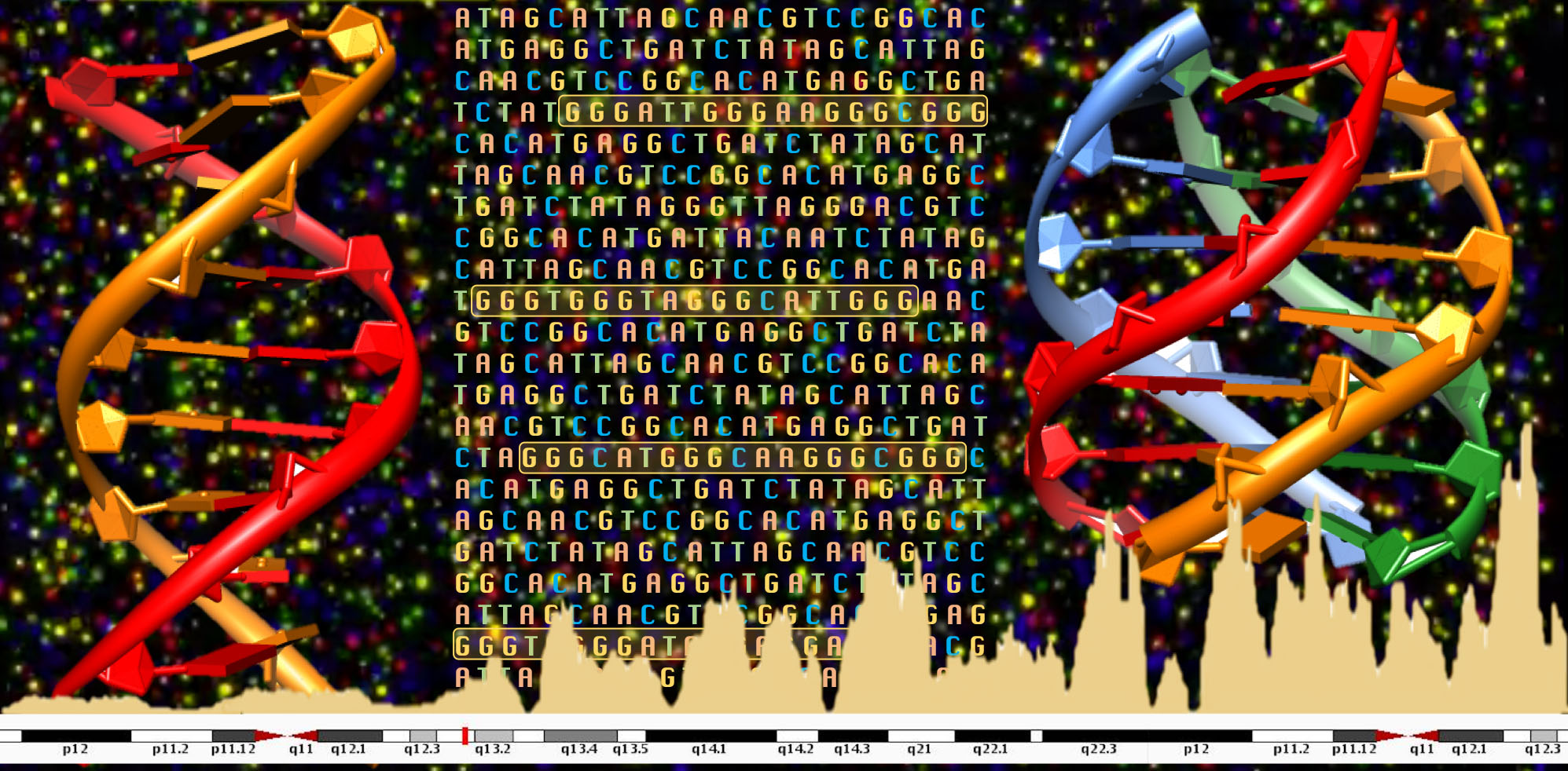 Des quadruplexes d’ARN pour lutter contre le cancer