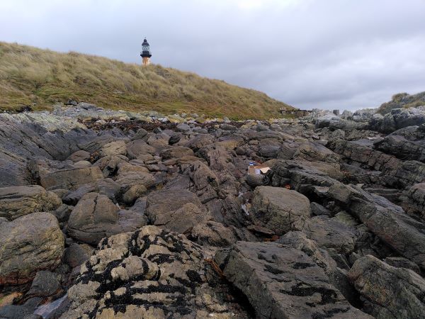 Expédition aux îles Malouines pour étudier les communautés marines intertidales