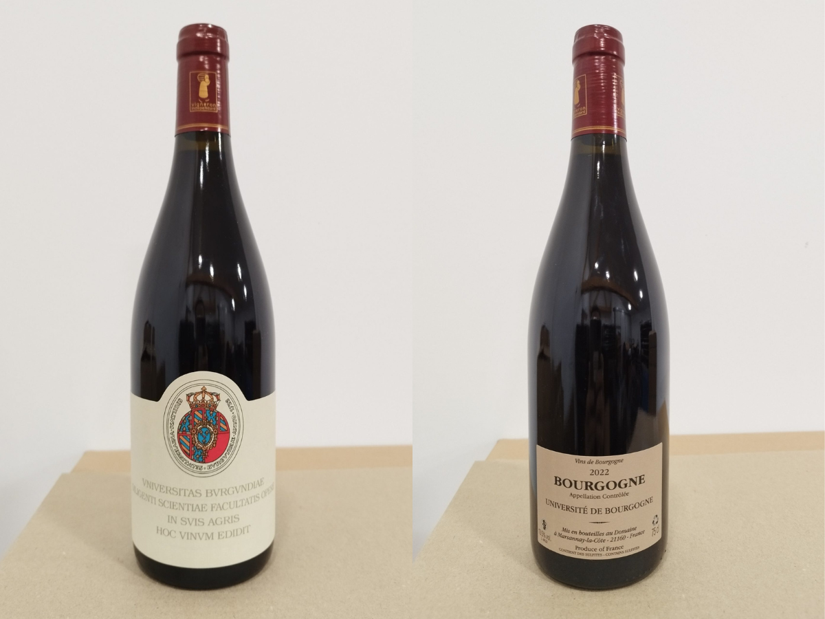 Le vin Bourgogne Rouge 2022 du domaine de l’uB récompensé par la RVF