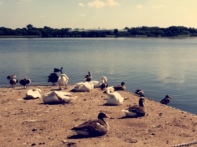 Willen Lake à Milton Keynes.