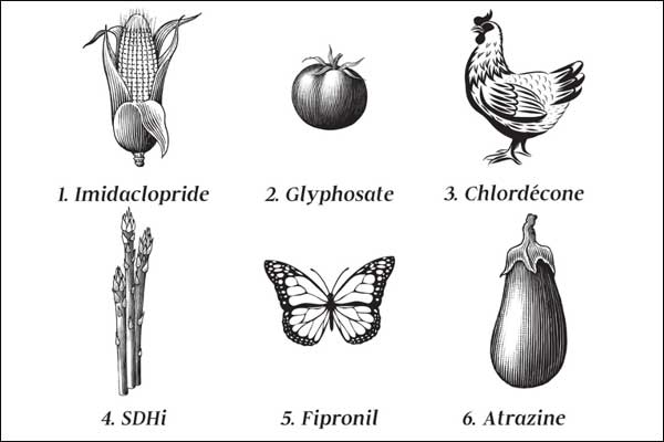 Journées de recherche en sciences humaines et sociales sur les pesticides