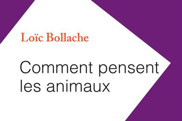 Loïc Bollache remporte le prix Jacques Lacroix 2021 de l’Académie Française