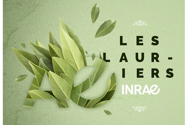 Cérémonie des Lauriers d’INRAE : le centre INRAE BFC compte 3 lauréats