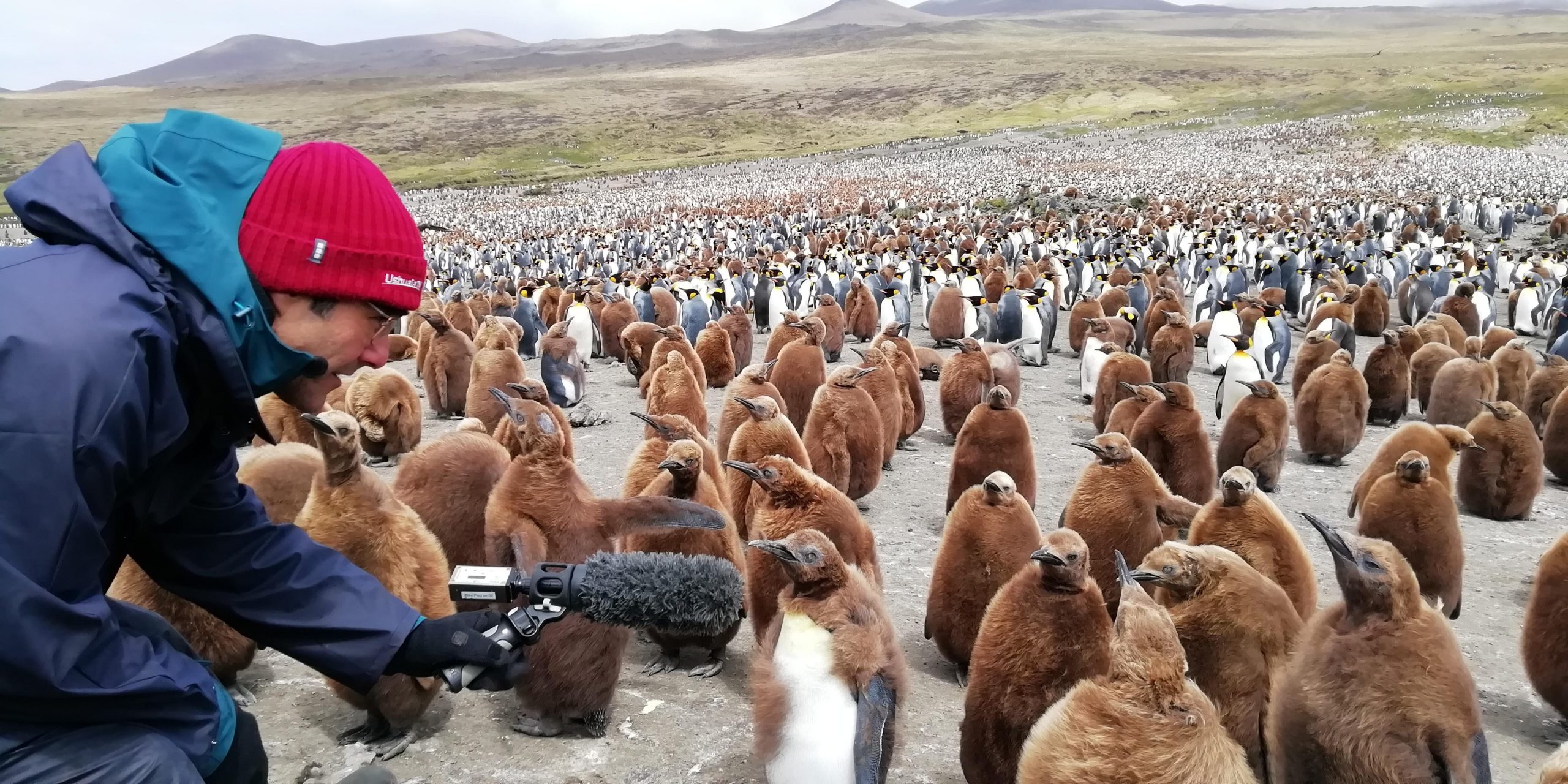 RDV en Terres Australes sur TF1 avec Thomas Saucède du laboratoire Biogéosciences