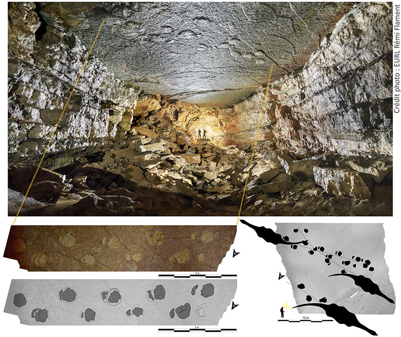 Découverte d’empreintes de dinosaures géants dans une grotte de Lozère