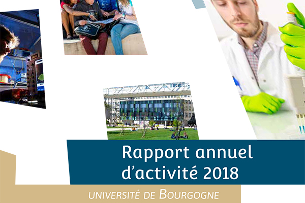 Rapport annuel d’activité 2018 : situation budgétaire, faits marquants et distinctions